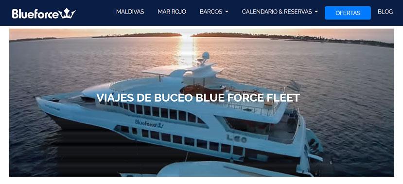 blue-force-fleet-seo-sem-consultora-eva-aguilar